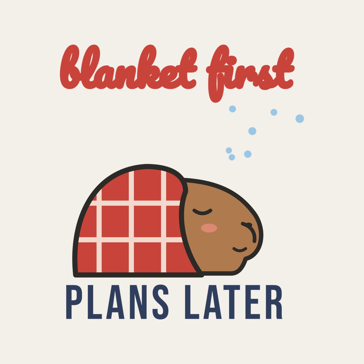 Blanket First, Plans Later design, close up