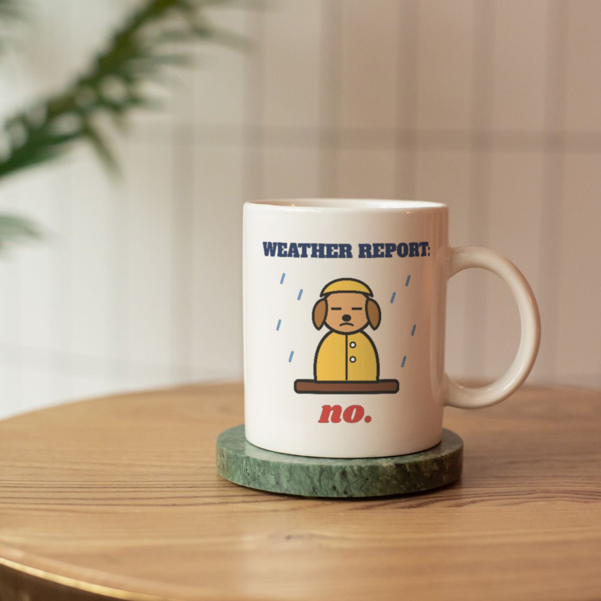Weather Report: No Mug, photo 3