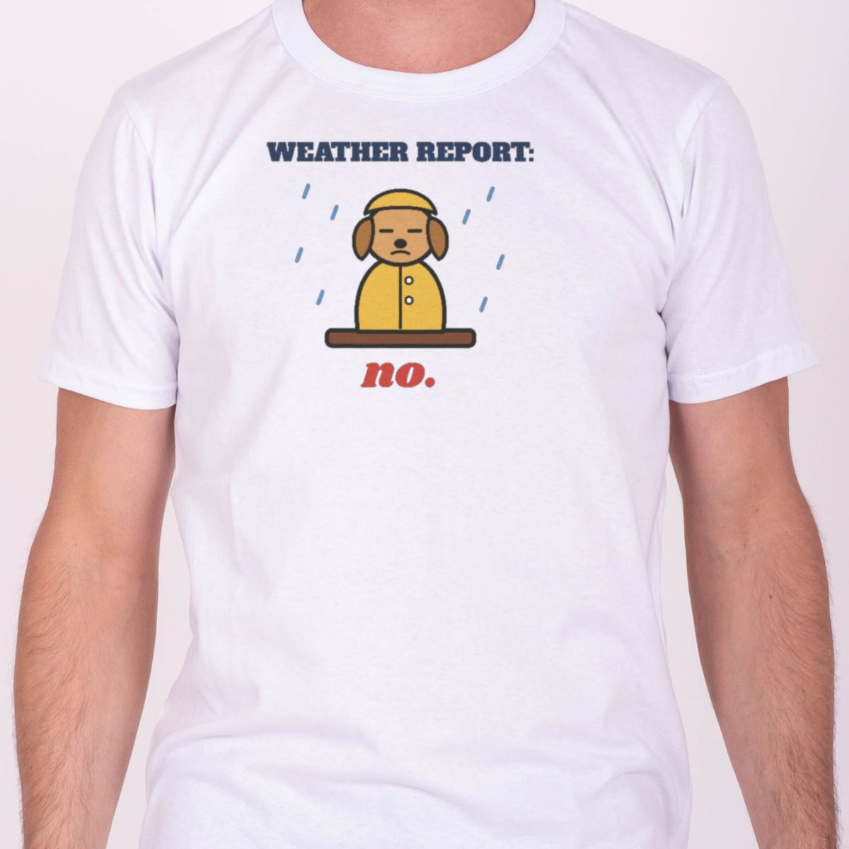 Weather Report: No Tee, photo 2